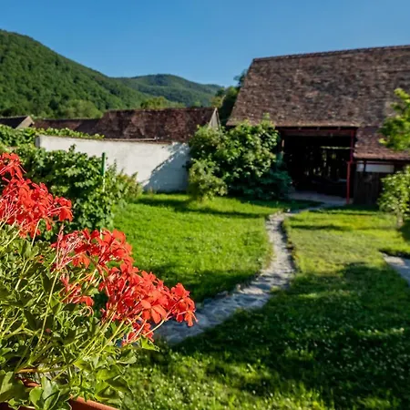 Casa Paulini